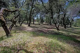7420 Derby Ln, Somerset, CA 95684 - Photo 44