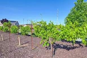 9096 Vervain Wy, Sacramento, CA 95829 - Photo 84