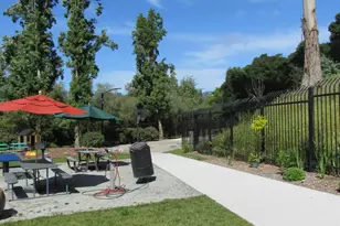 535 Pierce St, Albany, CA 94706 - Photo 34