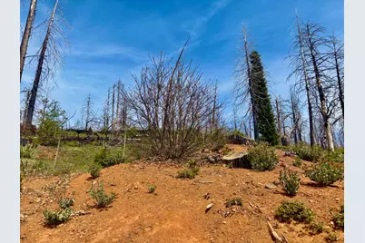 4664 String Canyon Road, Somerset, CA 95684 - Photo 4