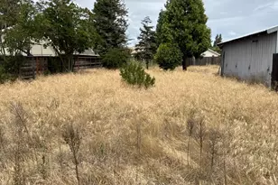1101 E Monte Vista Ave, Turlock, CA 95382 - Photo 58