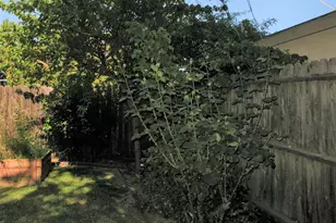 2510 Atlas Ave, Sacramento, CA 95820 - Photo 30