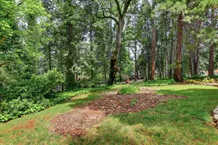 10096 Elder Dr, Grass Valley, CA 95949 - Photo 82