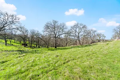 8251 Buffalo Ridge Road, Ione, CA 95640 - Photo 44