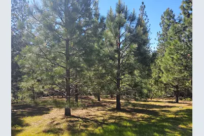 19730 Wedemeyer Place, Weimar, CA 95713 - Photo 28