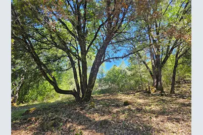 19730 Wedemeyer Place, Weimar, CA 95713 - Photo 12