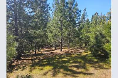 19730 Wedemeyer Place, Weimar, CA 95713 - Photo 26