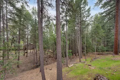 5531 Begonia Drive, Pollock Pines, CA 95726 - Photo 42