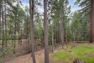 5531 Begonia Dr, Pollock Pines, CA 95726 - Photo 42