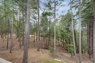 5531 Begonia Dr, Pollock Pines, CA 95726 - Photo 54