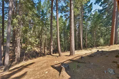 5531 Begonia Drive, Pollock Pines, CA 95726 - Photo 52