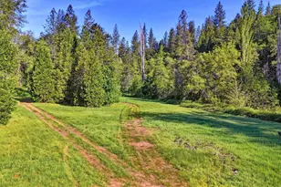 10538 Mote Ln, Grass Valley, CA 95949 - Photo 72
