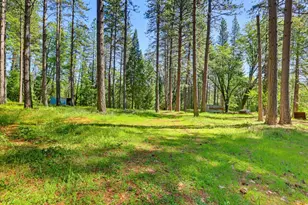 10538 Mote Ln, Grass Valley, CA 95949 - Photo 60