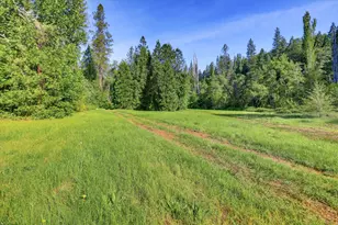 10538 Mote Ln, Grass Valley, CA 95949 - Photo 82