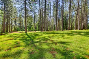 10538 Mote Ln, Grass Valley, CA 95949 - Photo 66