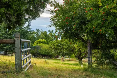 977 Crystal Oak Place, Newcastle, CA 95658 - Photo 42