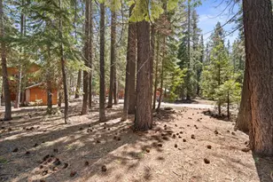 7213 3rd Ave, Tahoma, CA 96142 - Photo 34