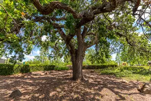 2941 Cricket Club Ct, Rocklin, CA 95765 - Photo 54