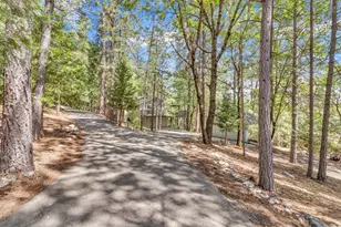 5539 Crestline Dr, Foresthill, CA 95631 - Photo 40