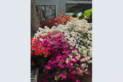9111 Yellow Flower Place, Fair Oaks, CA 95628 - Photo 72