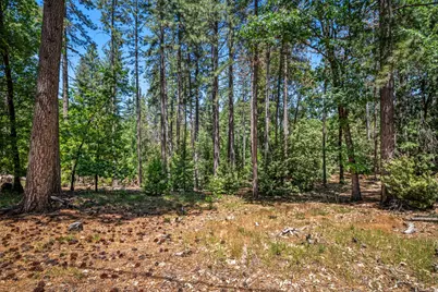 6324 Dickinson Road, Placerville, CA 95667 - Photo 2