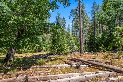 6324 Dickinson Road, Placerville, CA 95667 - Photo 10