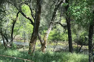 17689 Brewer Rd, Grass Valley, CA 95949 - Photo 18