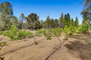 18088 Gray Oak Dr, Rough and Ready, CA 95975 - Photo 56