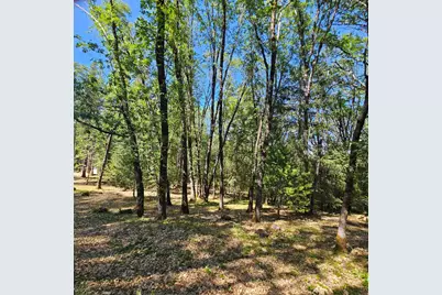 15367 Lakewood Lane, Grass Valley, CA 95945 - Photo 6