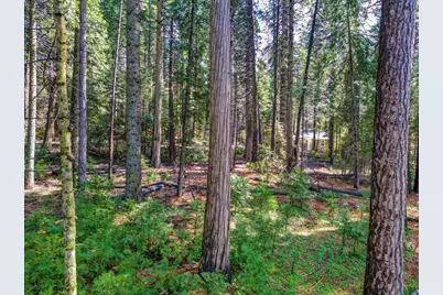 857 Hwy 4, Arnold, CA 95223 - Photo 2