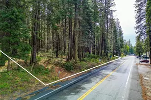 857 Hwy 4, Arnold, CA 95223 - Photo 1