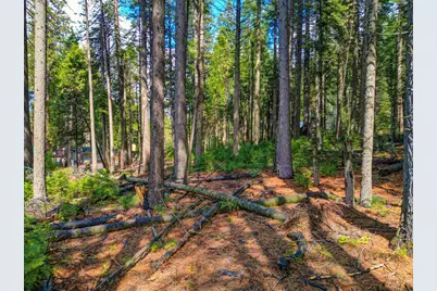 857 Hwy 4, Arnold, CA 95223 - Photo 8