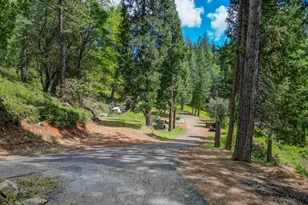 238 Cedar Dr, Hathaway Pines, CA 95233 - Photo 10