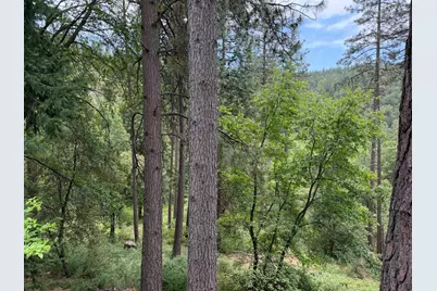 238 Cedar Drive, Hathaway Pines, CA 95233 - Photo 24