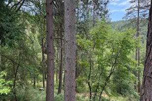 238 Cedar Dr, Hathaway Pines, CA 95233 - Photo 24