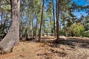 6152 Hillcrest Ct, Foresthill, CA 95631 - Photo 26