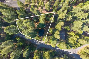 875 Shoshone Dr, Arnold, CA 95223 - Photo 28