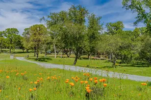 10690 White Oak Rd, Plymouth, CA 95669 - Photo 56