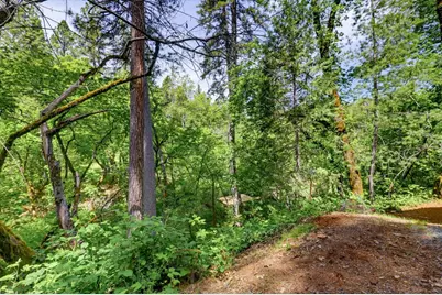 12638 Francis, Grass Valley, CA 95949 - Photo 54