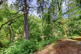 12638 Francis, Grass Valley, CA 95949 - Photo 54
