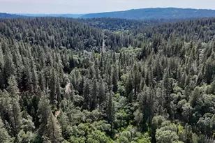12638 Francis, Grass Valley, CA 95949 - Photo 58