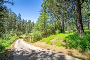 21819 Todd Valley Rd, Foresthill, CA 95631 - Photo 36