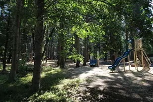 3545 Shoshone Dr, Camp Connell, CA 95223 - Photo 44
