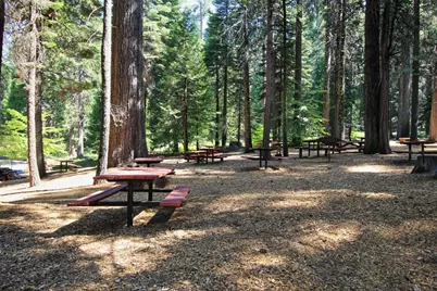 3545 Shoshone Drive, Camp Connell, CA 95223 - Photo 46