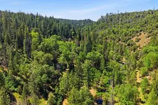 21552 Sprague Rd, Groveland, CA 95321 - Photo 50