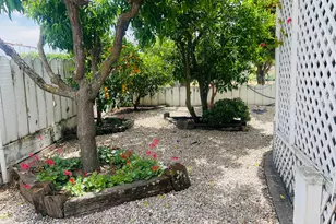 60 Jonquil Ln, Hollister, CA 95322 - Photo 30