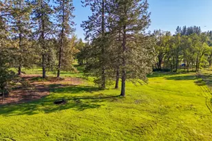 4360 Pleasant Valley Rd, Placerville, CA 95667 - Photo 12