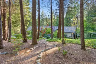 10433 Park Ave Ext, Nevada City, CA 95959 - Photo 56