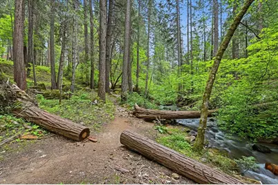 10433 Park Avenue Extension, Nevada City, CA 95959 - Photo 88