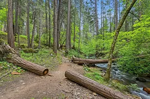 10433 Park Ave Ext, Nevada City, CA 95959 - Photo 88